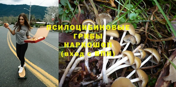 метамфетамин Алексеевка
