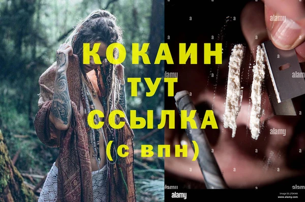 сатива Абдулино