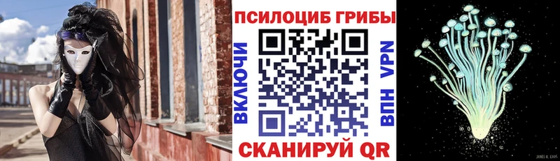 Галлюциногенные грибы Cubensis  что такое наркотик  Якутск 