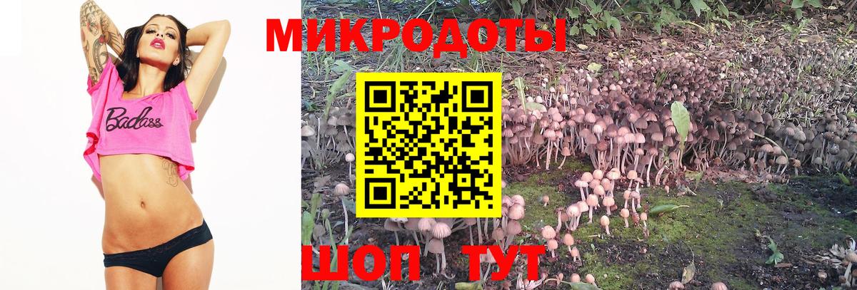 Галлюциногенные грибы Magic Shrooms  Вход с VPN  Галлюциногенные грибы ЛСД  Якутск 