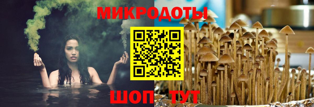 Галлюциногенные грибы ЛСД Якутск